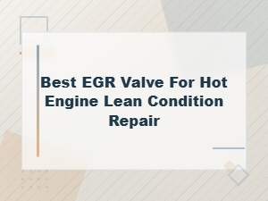 Best Egr Valves to Fix Hot Engine Lean Conditions