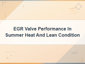 Egr Valve Performance Issues in Summer Heat and Lean Condition Symptoms