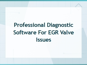 Professional Diagnostic Software for Egr Valve Issues in Fuel Systems